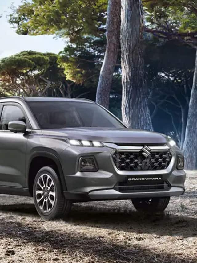 10 CNG Cars Launched In India In 2023