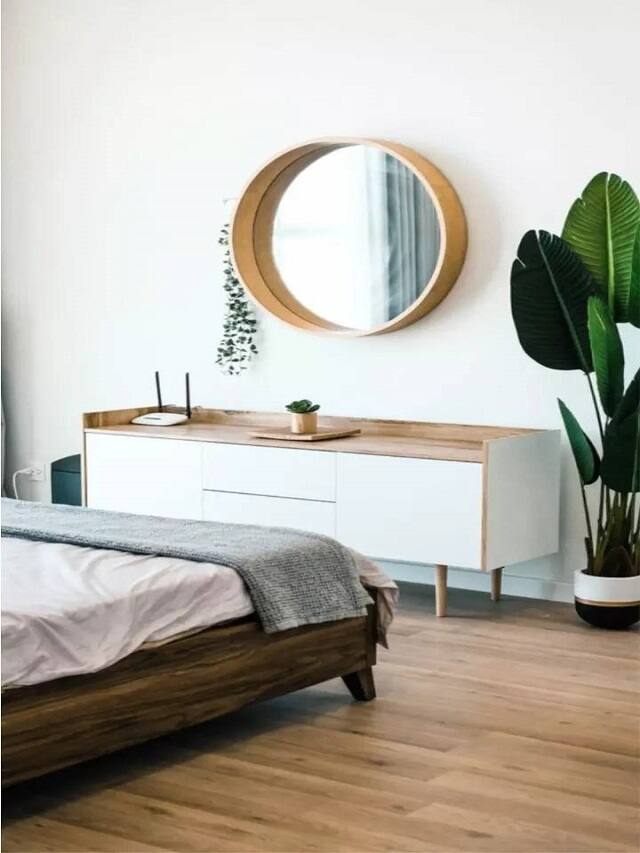 બેડરૂમમાં રાખો આ હેલ્ધી પ્લાન્ટ્સ