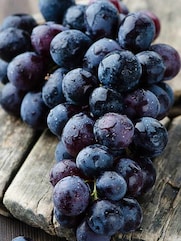 Grapes Benefits: یہ پھل غذائی اجزاء کا ذخیرہ ہے