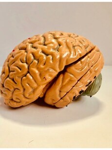 7 habits that can damage the brain