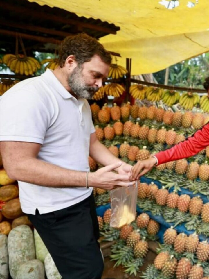 Rahul Gandhi enjoys pineapples in Meghalaya: 9 places where you can find the best variety of the fruit