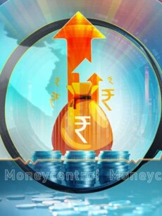 MC India Inc CEO Survey