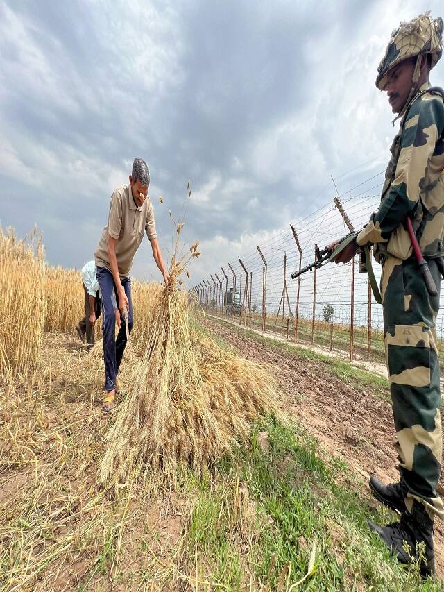 આ MSP શું છે? જેની ખેડૂત આંદોલનમાં થઈ રહી છે માગ