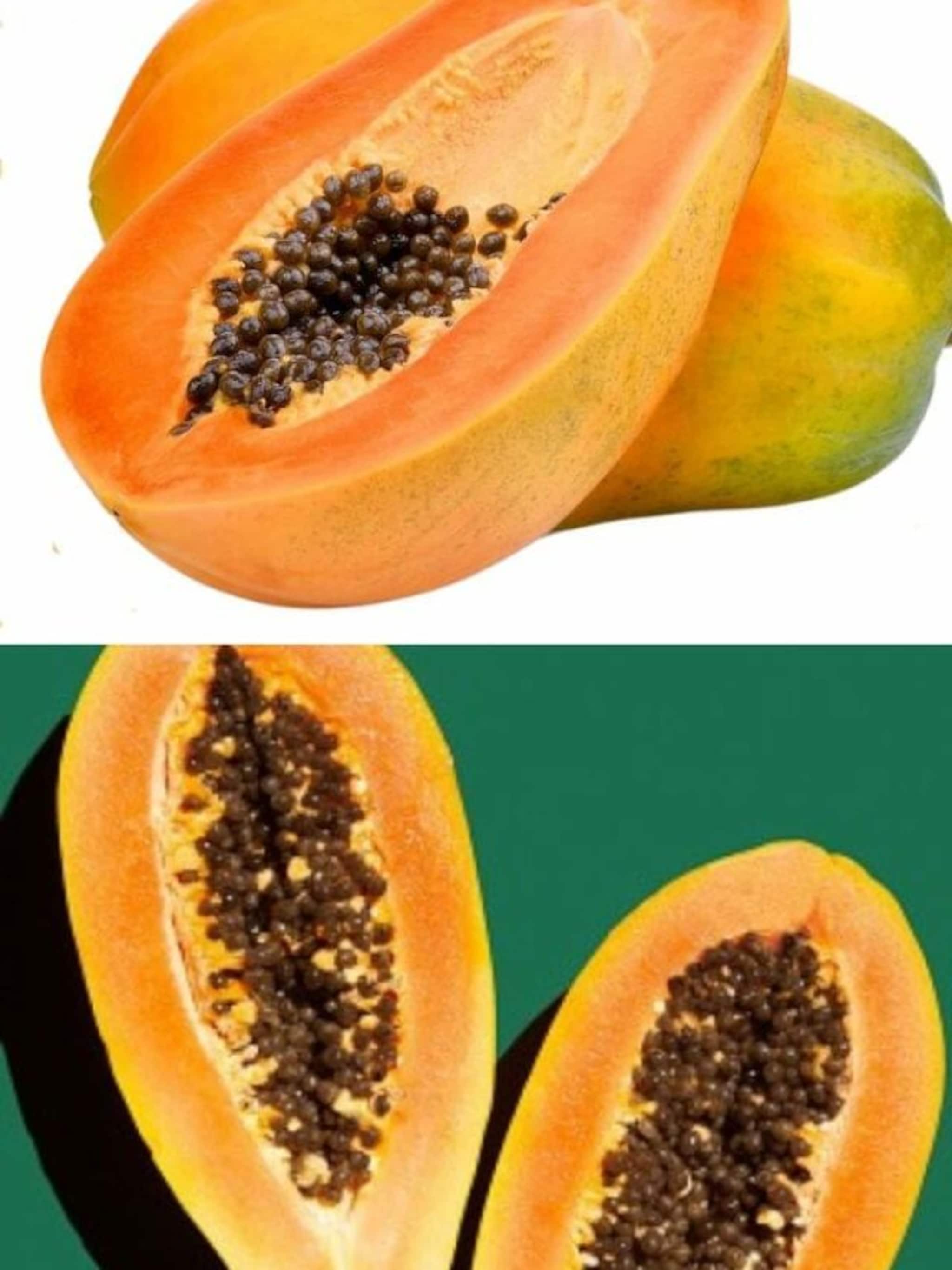 लांब की गोल? कोणता पपई चवीला जास्त गोड?