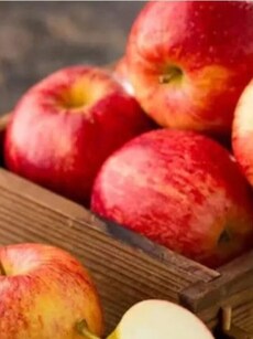 6 essential foods for digestive health