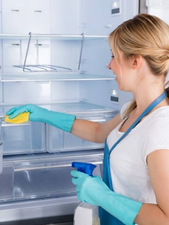 5 Ways To Remove Bad Smell From Fridge