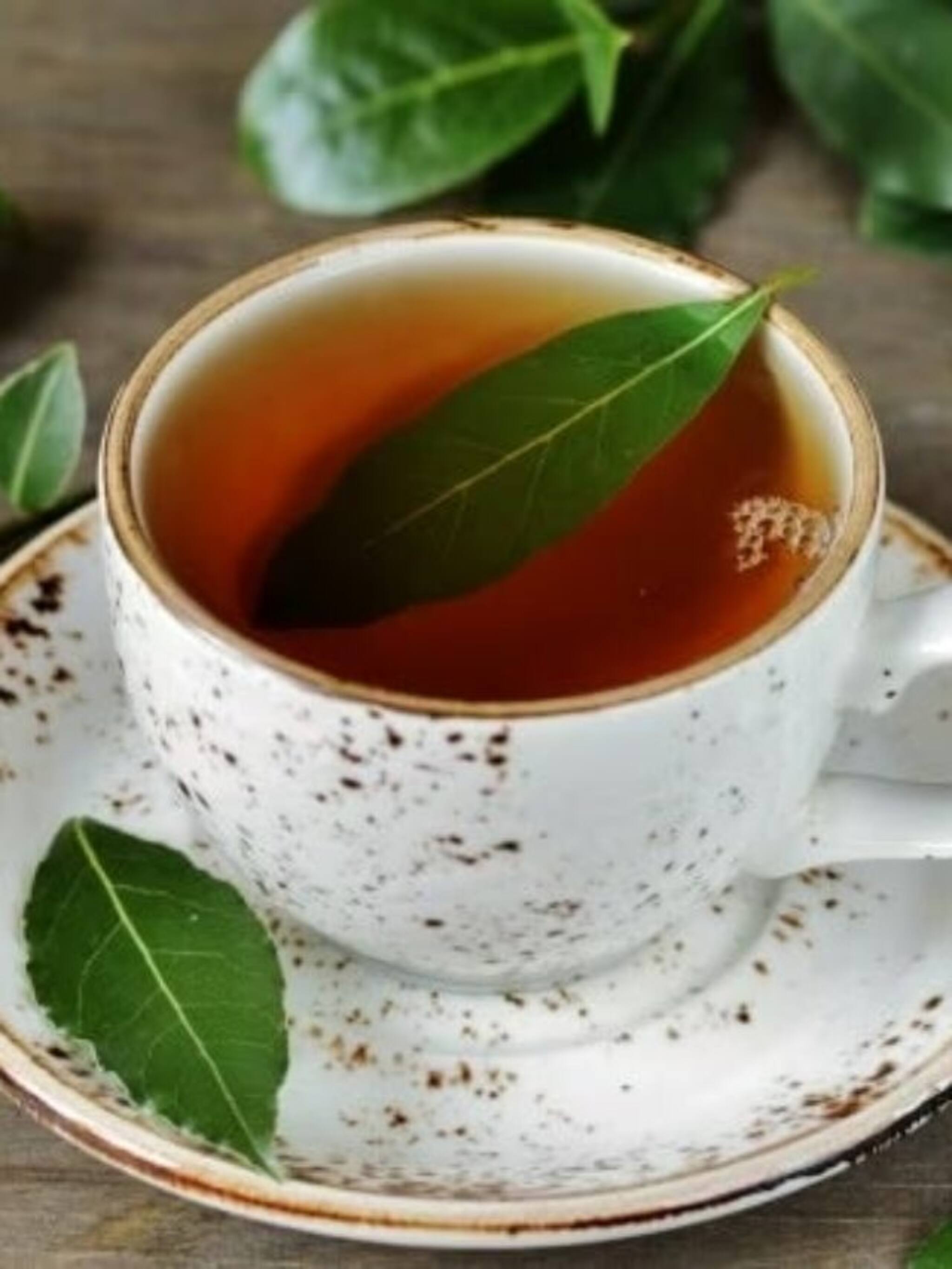 तेजपत्त्याची चहा प्यायल्याने दूर होतील आरोग्याच्या 7 समस्या