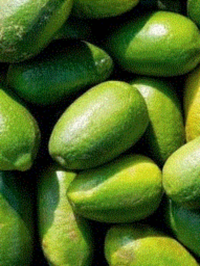 4 Amazing Benefits Of Assam's Kaji Nemu