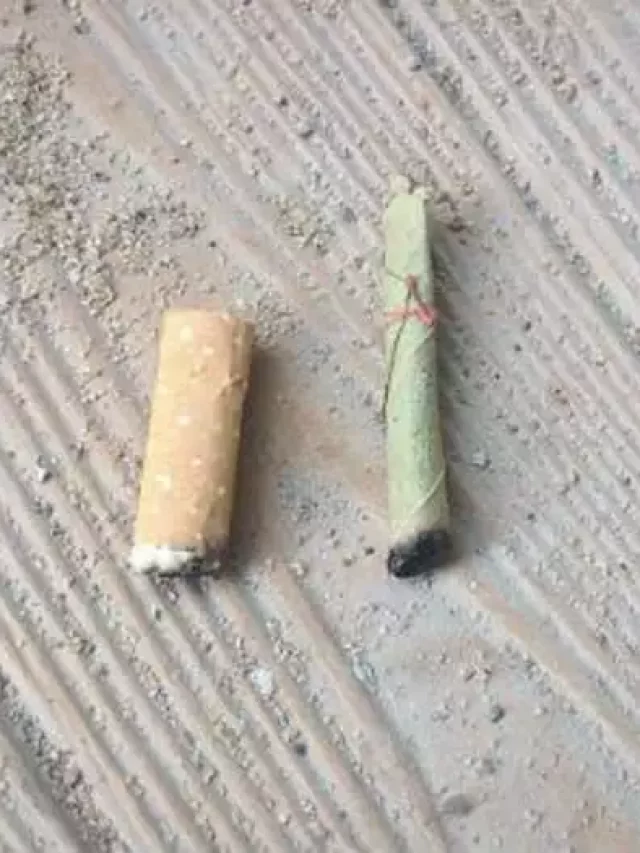 विडी vs सिगारेट : तुमच्या शरीरासाठी काय जास्त धोकादायक?