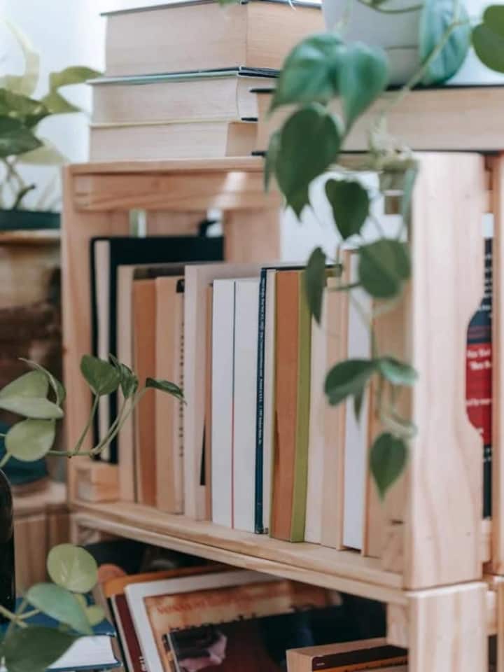 8 Plants Perfect for Enhancing Your Bookshelf