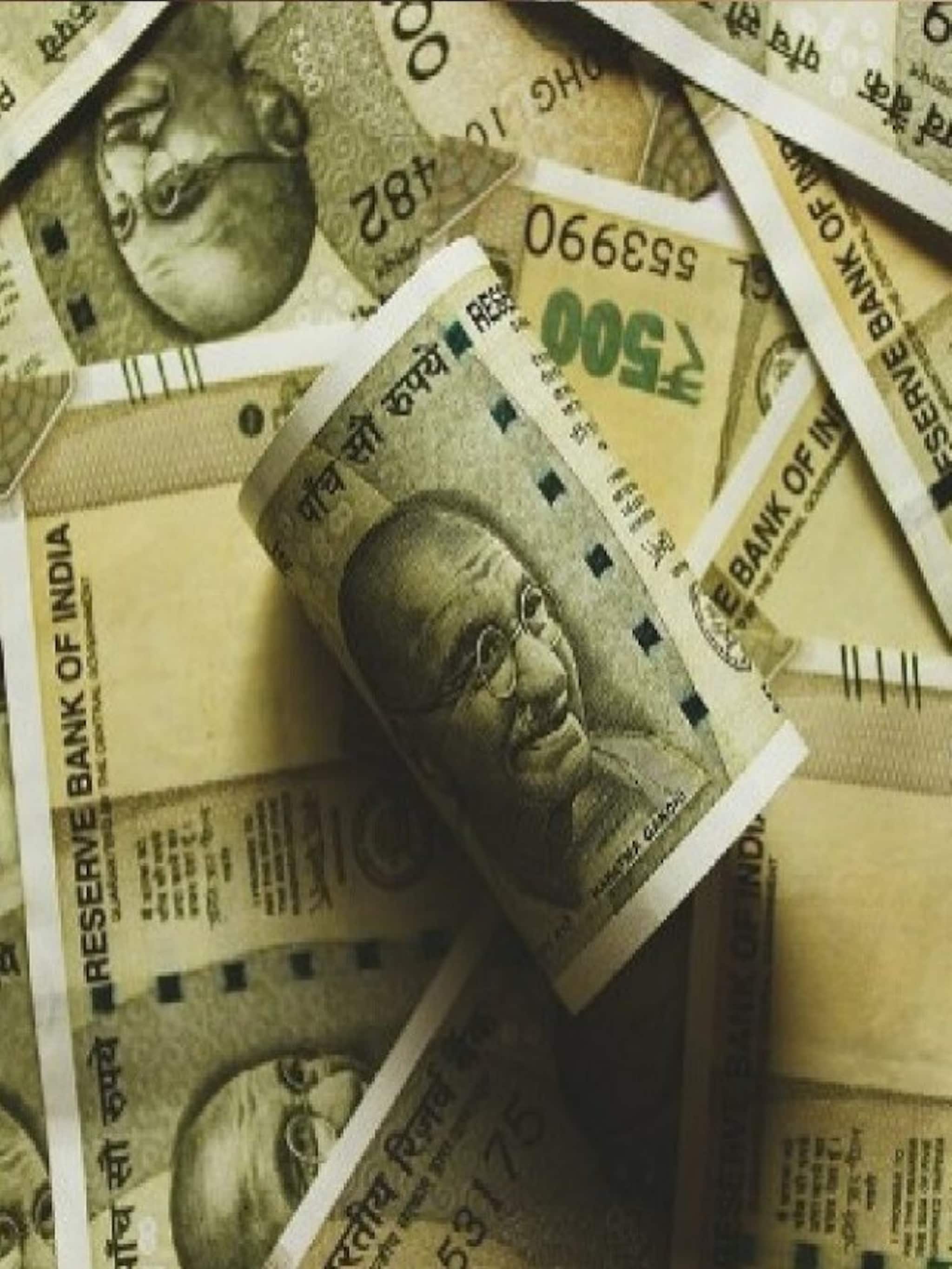 এই সবজি চাষ করে ৩ মাসে লাখপতি!