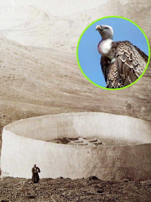 ન દાટીને કે ન બાળીને! જાણો કેવી રીતે પારસી સમુદાયના લોકોના થાય છે અંતિમ સંસ્કાર