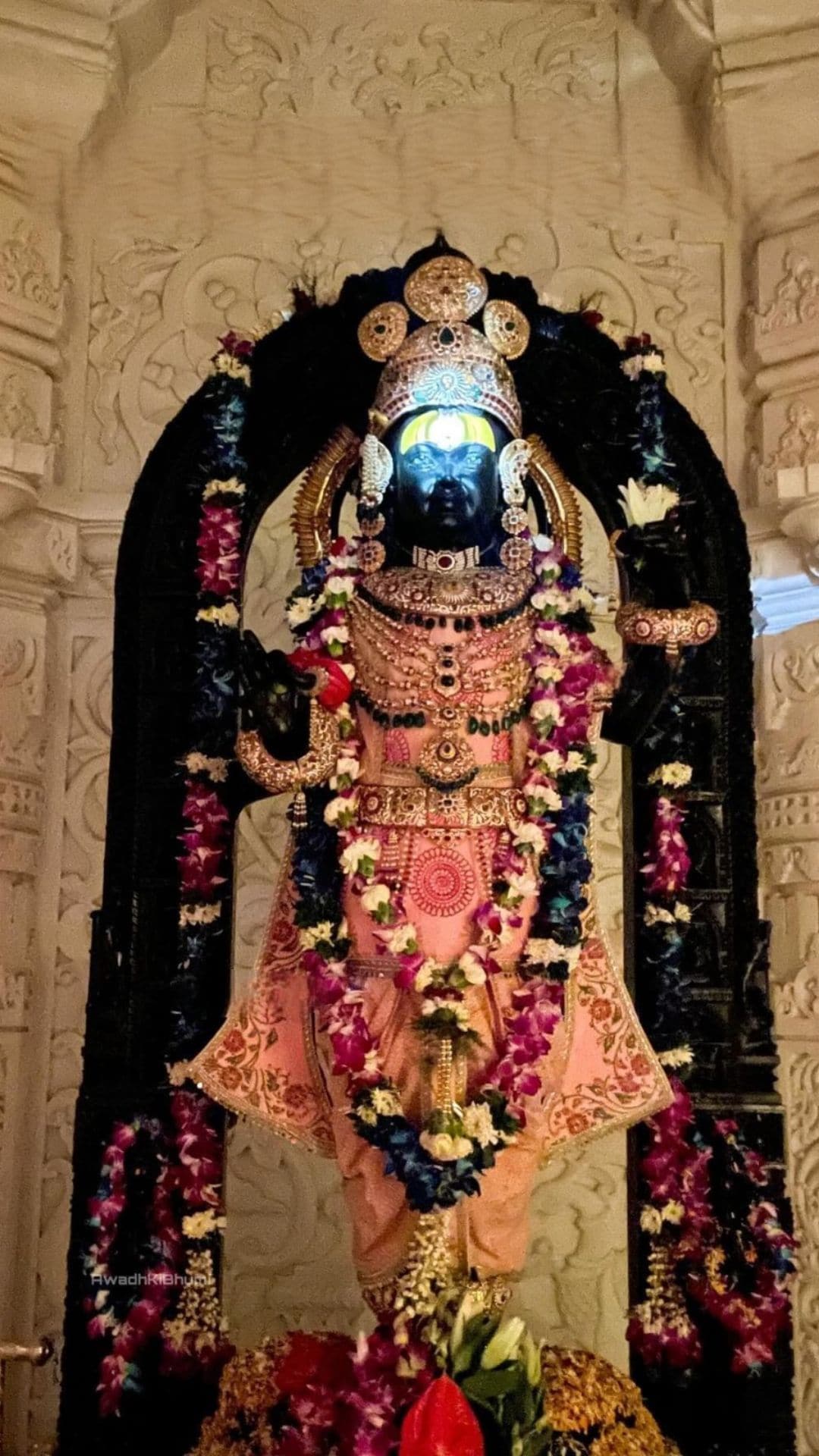 Surya Tilak' illuminates Ram Lalla's forehead in Ayodhya