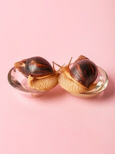 7 reasons why snail mucin is so popular in skincare routine