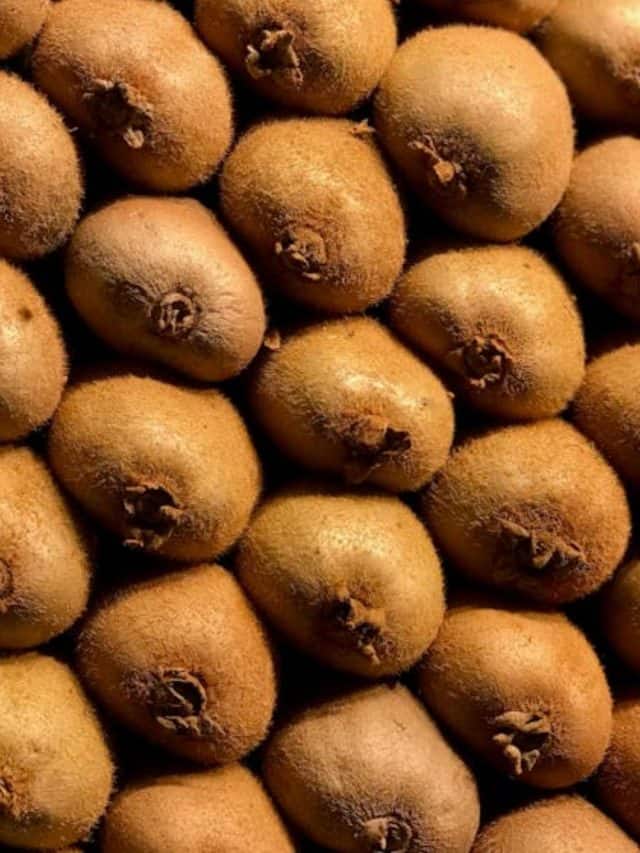 ઘરે કેવી રીતે ઉગાડશો કીવી, ખરીદવાની ઝંઝટ ખત્મ