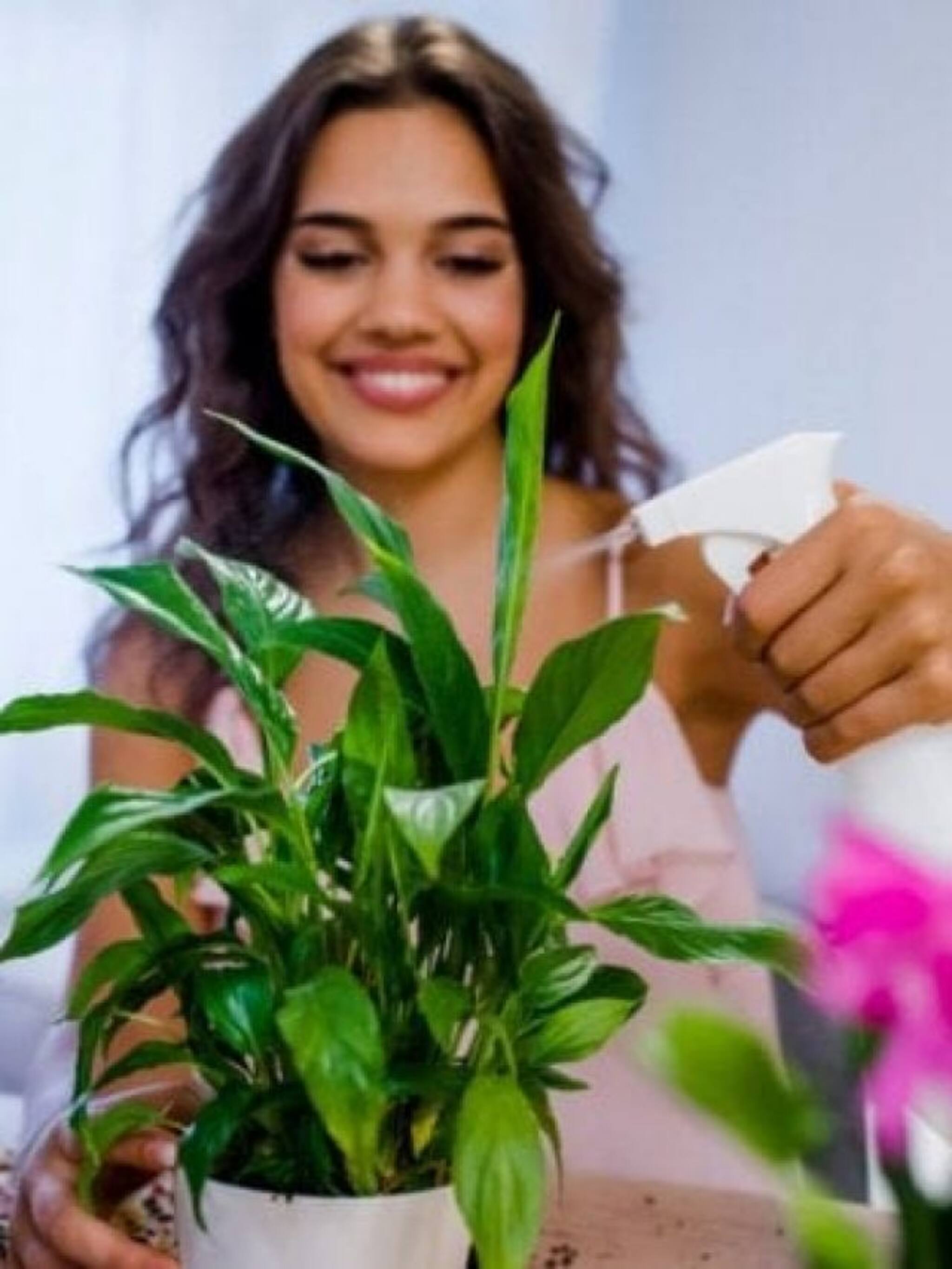 महाग खतंच नाही, या घरगुती वस्तूंनीही वाढेल रोपांचे आयुष्य!