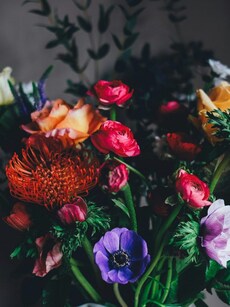 7 flowering plants to grow this summer