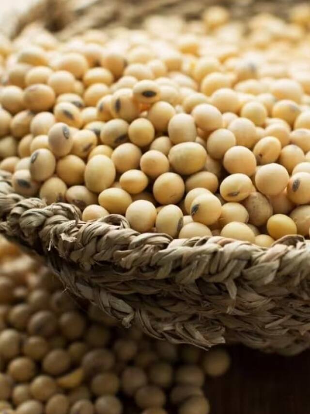 5 Interesting Ways To Eat Soybeans