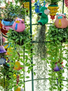 Gardening tips: Add stackable plants to your kitchen garden