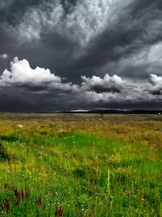 Monsoon 2024: When Will It Hit Delhi, Mumbai, Kolkata,&nbsp;Bengaluru?