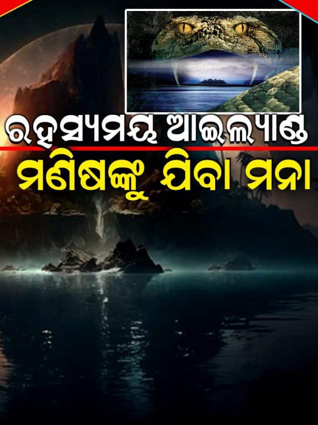 Fatty Liver ଲିଭର ରୋଗୀଙ୍କ ପାଇଁ ଭାରି ଖରାପ ଏହି ୨ଟି ଖାଦ୍ୟ; ଆଜି ହିଁ ଖାଇବା ଛାଡ଼ନ୍ତୁ... Ghee or