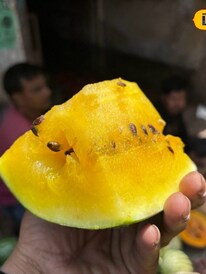 বাজার ছেয়েছে হলুদ রঙের তরমুজে!