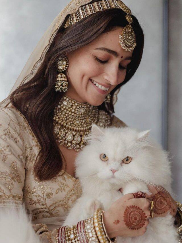5 Bollywood Actors Who Share an Adorable Bond with Their Pets