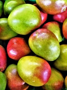 5 most expensive mango varieties in the world