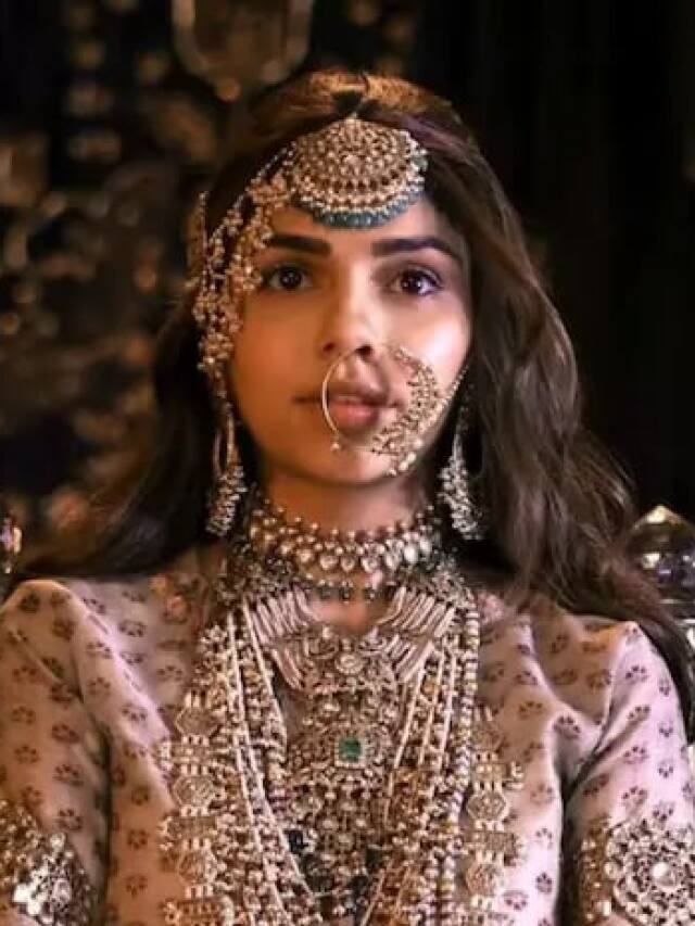 5 Times Heeramandi Stars Defended Sharmin Segal