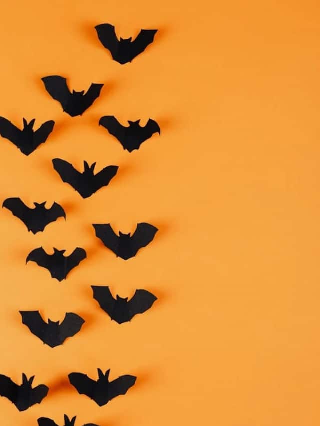 Discover the Stealthy Creatures Most Silent Animals in the World