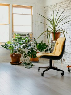 Office peacocking: What is it and why it’s trending