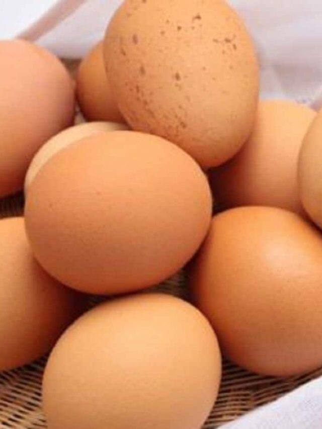 5 Expensive Egg Varieties You Can Try