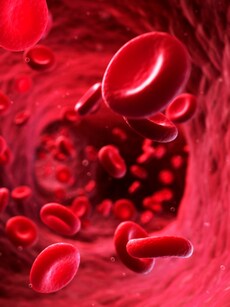 10 Key Facts About Rhnull &mdash; The World&rsquo;s Rarest Blood Group
