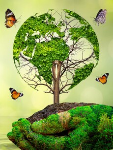 World Environment Day 2024: 10 Ways to Reduce Your Carbon Footprint