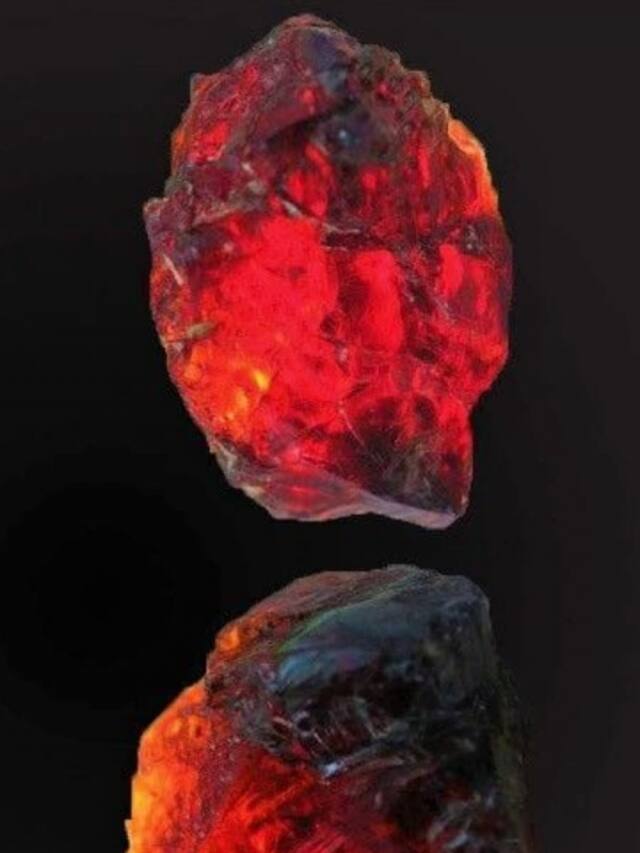 9 Most Rarest Things In The World