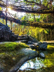 Unique Whistling Village of Meghalaya Where Names Are Tunes