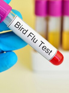 Bird Flu in India: Know Symptoms and Precautions