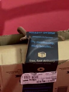 7 bizarre things found in food & parcels recently