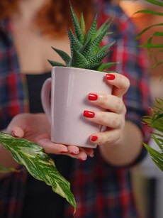 12 common mistakes most first-time gardeners make