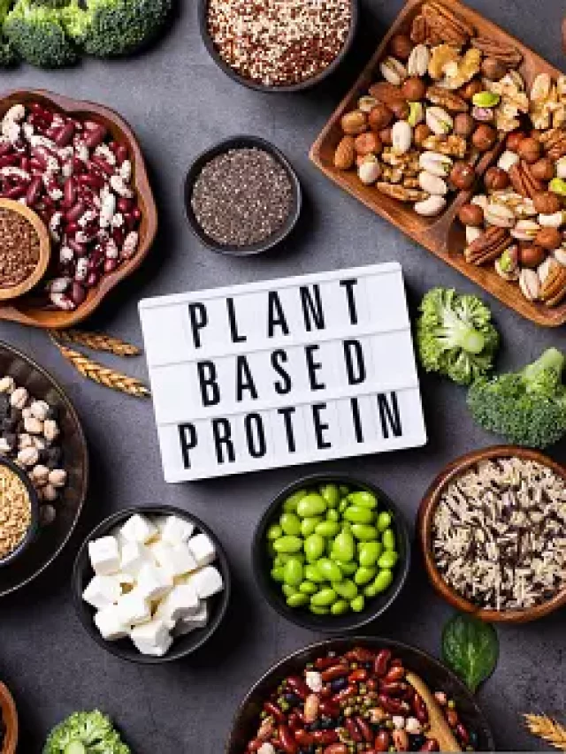 6 plant-based proteins that can be included in diet