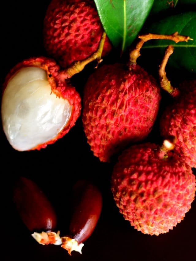 8 benefits of consuming lychee - Firstpost