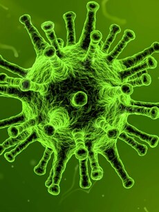 What is Chandipura Virus? 9 Key Facts You Need to Know