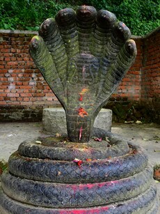 Nagas: 8 Most Revered Snake Deities in Hindu Mythology