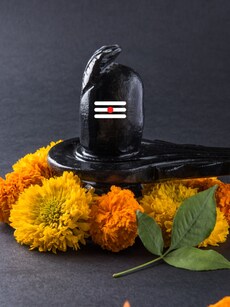 10 Must-Offer Items to Lord Shiva This Sawan