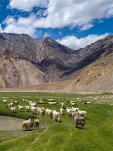 10 Best Places to visit in July in India 2024