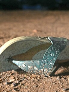 Hathras Stampede: 9 Tips to Keep Yourself Safe in a Stampede