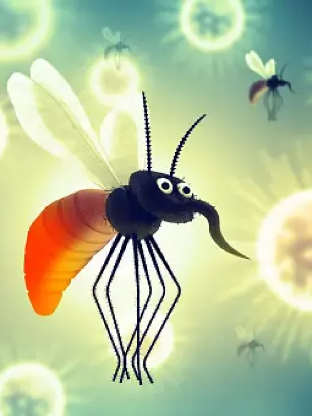 Tips to prevent mosquitoes around house during monsoon