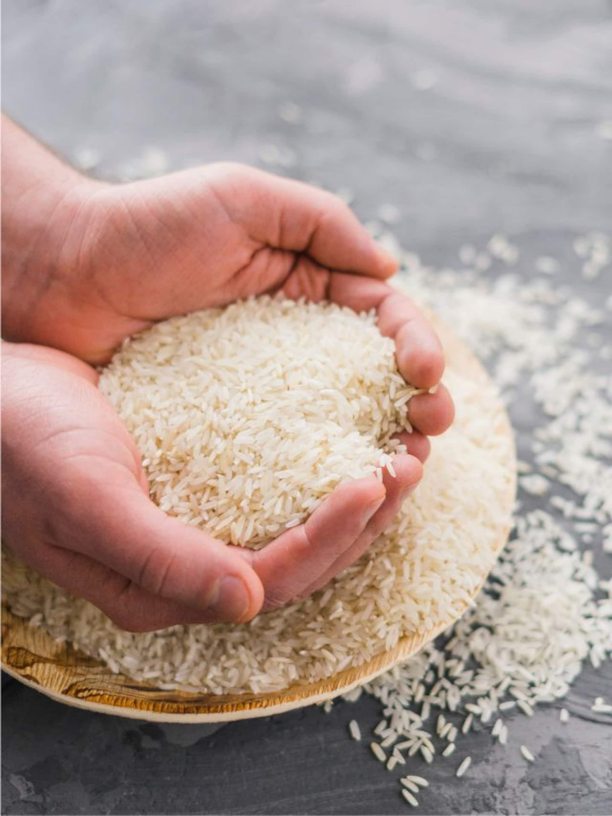 যে সহজ কৌশলে বছরের পর বছর চাল তরতাজা থাকবে, একটা পোকাও ধরবে না