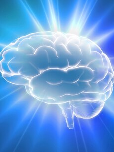 8 foods to make your brain sharper