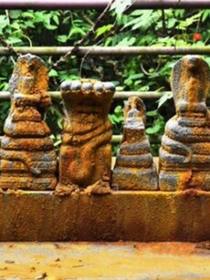 Nag Panchami: 6 Most Famous Snake Temples in India